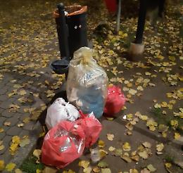 Rifiuti abbandonati in centro, il sindaco: 'Che vergogna'