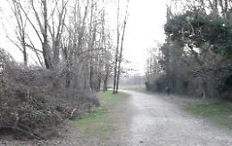 Mille alberi lungo il Serio per ricucire la ferita del 2018