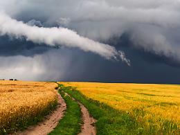 In trent'anni perso il 20% di Superficie agricola utilizzata