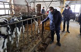 Animali in dono all'allevatore che aveva perso tutto, Rolfi: 'Ecco lo spirito solidale lombardo'