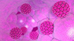 Papilloma Virus, nuovo screening a Cremona e Crema
