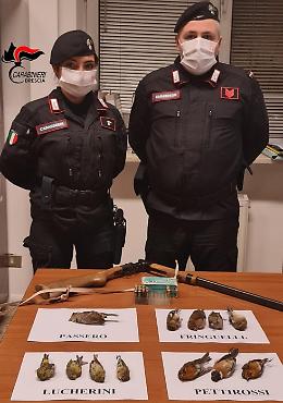 Parco Oglio, spari vietati: cacciatore denunciato 