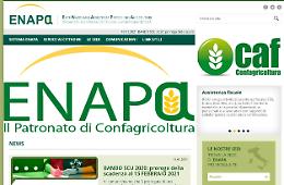 Servizio civile con il patronato Enapa
