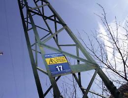 Cade un albero sui cavi elettrici di un traliccio, blackout e disagi