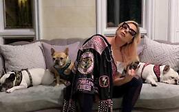 Sparano al dog sitter e rubano i cani di Lady Gaga