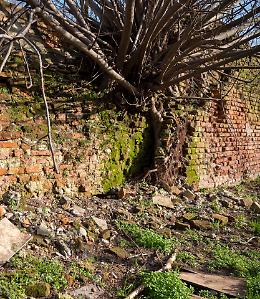 I bastioni storia della città. Un progetto per il recupero
