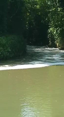 VIDEO Sversamento e schiuma sospetta lungo il fiume Serio