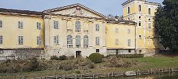 Villa Sommi denudata: il parassita ha divorato la siepe