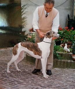 E' scomparso Pietro Roffia, aveva 89 anni