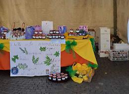 Piccoli apicoltori al Marconi: «La scuola dal cuore verde»