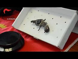 VIDEO 2 Blitz dei carabinieri in due abitazioni:  sequestrate armi e droga