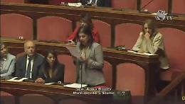 Gli studenti del Ghisleri di Cremona in Senato, il benvenuto di Centinaio in diretta TV