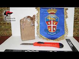 Il video dell'operazione Myocastor dei carabinieri di Fiorenzuola d'Arda