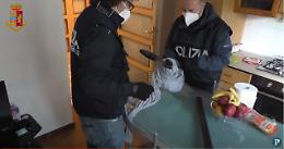 Violino rubato, il blitz della Polizia nel covo del rapinatore