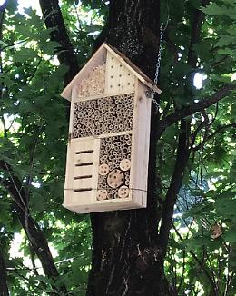 Nell’aiuola il bee-hotel: ecco «l’oasi delle api»