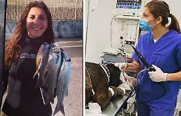 Dalla clinica alle immersioni. Adesso c’è il sogno tricolore