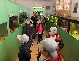 «Spese e disinteresse». Addio all’Acquario del Po