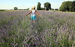 Lavanda solidale per sostenere chi è in difficoltà