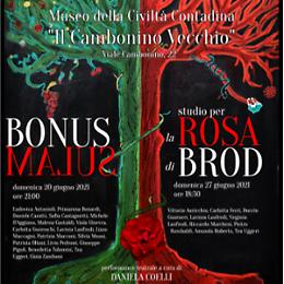Studio per la Rosa di Brod
VarieAzioni
Teatro