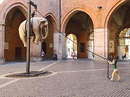 Un elefante in Cortile Federico II, la  curiosità dei cremonesi