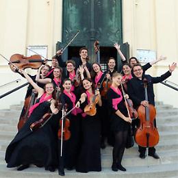 Violinissimo Ensemble
Concerto