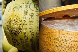 Nutriscore, Rolfi: no congiunto di Grana e Parmigiano fatto eccezionale