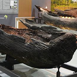 Domenica al museo:
Sezione di Archeologia fluviale