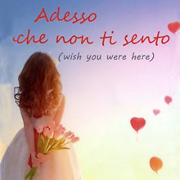 "Adesso che non ti sento: Wish you were here"
Presentazione libro
