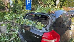 Crolla un grosso ramo, danneggiate due auto e  la recinzione del castello