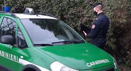 Rave party, due cremonesi presi con ketamina e cannabis