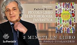 Fulvio Ervas, 'ortolano' tra le farfalle Monarca