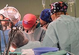 Rene trapiantato sul pancreas, salvato un bimbo a Torino