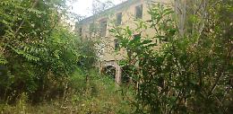 Una foresta di degrado in pieno centro a Casalmaggiore