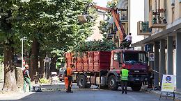 La scure di Comune e Aem su 200 alberi