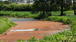 Acqua rossa nella lanca, effetto dell'alga 'magica' 
