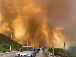 In fumo 158mila ettari, pari a Roma, Milano e Napoli