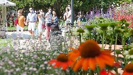 Con "Le Invasioni Botaniche" Cremona diventa giardino d'autunno