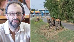 Piante tagliate, Poli attacca Ventura: "Improvvisa conversione neoambientalista"