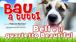 Al canile di Cremona Bell e il quartetto Beautiful