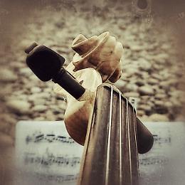 "La tradizione in musica" concerto dell'Orchestra Arcangelo Corelli