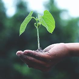 SeMiScambi. Giornata di scambio di semi, libero e gratuito
