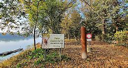 Parco golena, al via un importante progetto di riqualificazione forestale