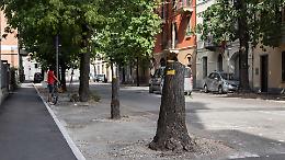 Ripiantumazioni e Osservatorio del verde: il decalogo del centro-destra