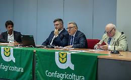 Suinicoltura, allarme degli allevatori: «Schiacciati dai burocrati»