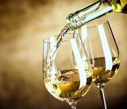 Vino, la Filiera incontra il ministro: insieme per difendere il settore dai tentativi di attacco