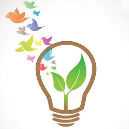Pomeriggio eco-sostenibile: passeggiata, bancarelle, riuso... e musica!