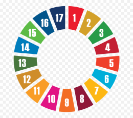 #InsiemepergliSDG