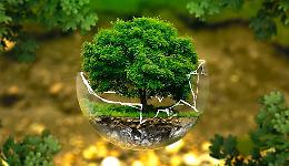 COP 26, Giansanti: fondamentale il primo impegno in arrivo per bloccare la deforestazione