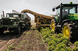 Pnrr: Patuanelli, ottenuti quasi 6 miliardi per agricoltura