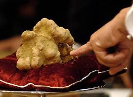 Asta Mondiale Tartufo Alba, a Hong Kong pezzo da 103mila euro